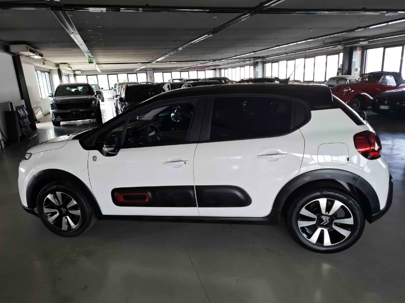 profilo-citroen-usata-bianca